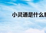 小灵通是什么意思（小灵通的含义）