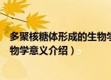 多聚核糖体形成的生物学意义是什么（多聚核糖体形成的生物学意义介绍）