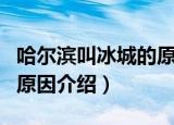 哈尔滨叫冰城的原因是什么（哈尔滨叫冰城的原因介绍）
