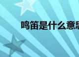 鸣笛是什么意思（火车鸣笛的意思）