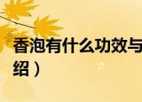 香泡有什么功效与作用（香泡的功效与作用介绍）