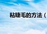 粘睫毛的方法（粘睫毛的技巧和方法）