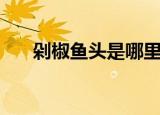 剁椒鱼头是哪里的菜（剁菜系是湘菜）