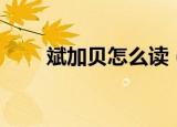 斌加贝怎么读（汉字斌加贝怎么读）