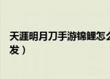 天涯明月刀手游锦鲤怎么触发（天涯明月刀手游锦鲤如何触发）