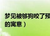 梦见被够狗咬了预示着什么（梦见被够狗咬了的寓意）