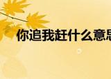 你追我赶什么意思（你追我赶是啥意思）