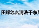 田螺怎么清洗干净又好吃（清洗田螺的妙招）