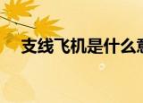 支线飞机是什么意思（什么是支线飞机）