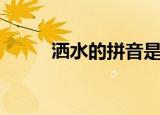 洒水的拼音是什么（洒水的读音）