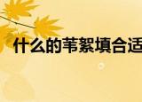 什么的苇絮填合适词语（形容芦苇的词语）