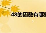 48的因数有哪些数（48的因数简述）