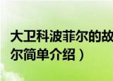 大卫科波菲尔的故事梗概是什么（大卫科波菲尔简单介绍）