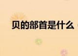 贝的部首是什么（汉字贝的部首是什么）