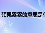 硕果累累的意思是什么（硕果累累怎么理解）