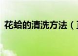 花蛤的清洗方法（正确清洗花蛤的3种方法）