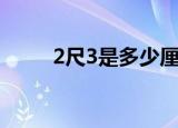 2尺3是多少厘米（2尺3是几厘米）