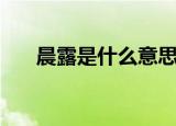 晨露是什么意思（什么是晨露的意思）