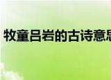 牧童吕岩的古诗意思（牧童古诗内容及翻译）