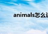 animals怎么读（animals的读音）
