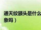 通天纹额头是什么样子（额头有通天纹是好现象吗）