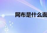 网布是什么面料（网布是何面料）