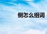 侧怎么组词（侧的组词有哪些）