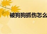 被狗狗抓伤怎么办（处理方法有哪些）