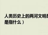 人类历史上的两河文明是指哪两河（人类历史上的两河文明是指什么）