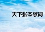 天下张杰歌词（天下张杰歌词介绍）