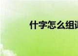 什字怎么组词（什字如何组词）