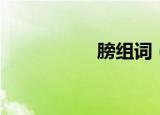 膀组词（膀如何组词）
