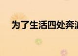 为了生活四处奔波什么歌（歌词是什么）