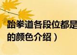 跆拳道各段位都是什么颜色（关于跆拳道段位的颜色介绍）
