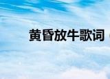 黄昏放牛歌词（黄昏放牛整首歌词）