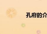 孔府的介绍（孔府简介）