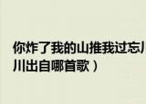 你炸了我的山推我过忘川是什么歌（你炸了我的山推我过忘川出自哪首歌）