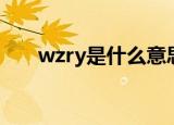 wzry是什么意思（wzry的解释如下）