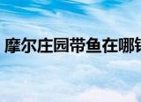 摩尔庄园带鱼在哪钓（摩尔庄园带鱼如何钓）