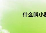 什么叫小数（小数的含义）