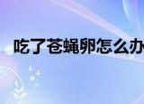吃了苍蝇卵怎么办（如何解决吃了苍蝇卵）