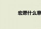 宏愿什么意思（宏愿的含义）