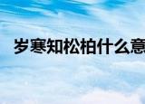 岁寒知松柏什么意思（岁寒知松柏的含义）