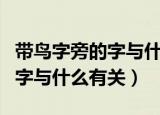 带鸟字旁的字与什么有关（常见的带鸟字旁的字与什么有关）
