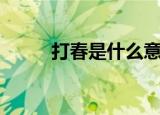 打春是什么意思（打春简单介绍）