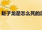 赵子龙是怎么死的历史上（赵子龙死因简述）