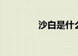沙白是什么（沙白的解释）