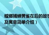 螳螂捕蝉黄雀在后的故事及寓意（螳螂捕蝉黄雀在后的故事及寓意简单介绍）