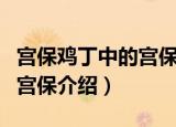 宫保鸡丁中的宫保是什么意思（宫保鸡丁中的宫保介绍）