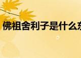 佛祖舍利子是什么东西（佛祖舍利子是何物）